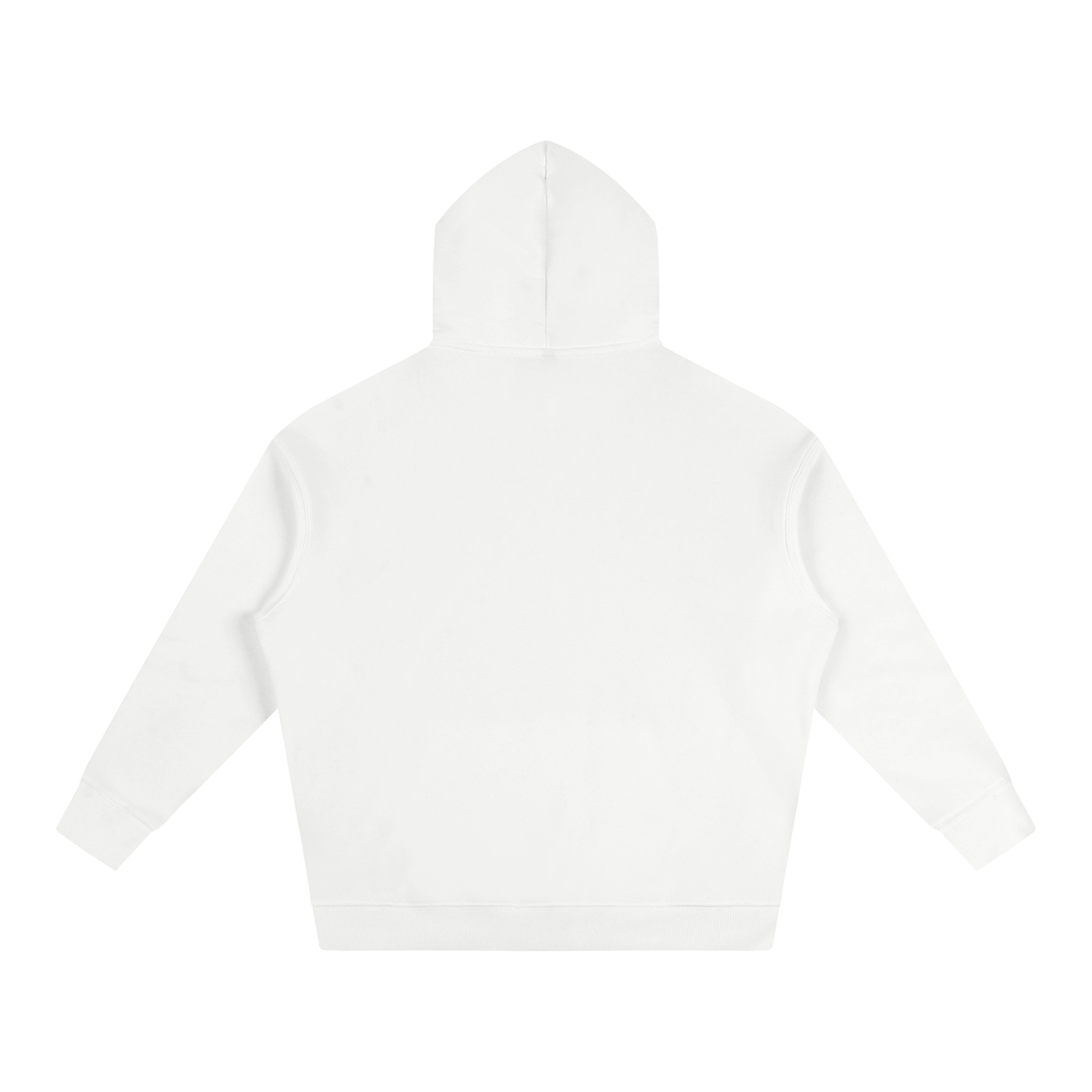 TSI Flag Oversize Fleeced Hoodie