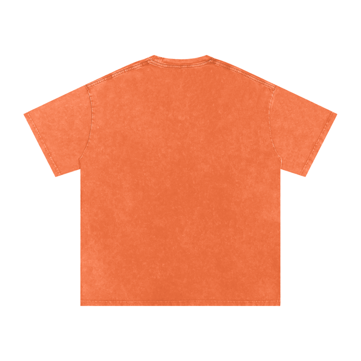 sovereignty - NEVER CEDED -Snow Washed Oversized Cotton T-Shirt