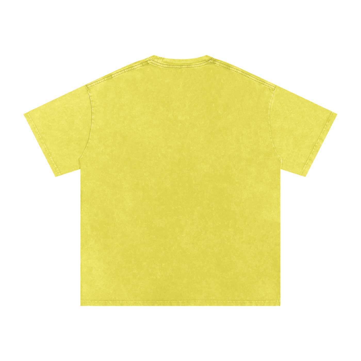 sovereignty - NEVER CEDED -Snow Washed Oversized Cotton T-Shirt