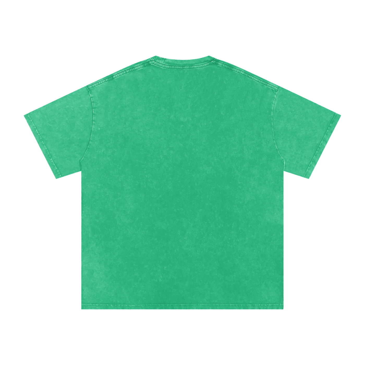 sovereignty - NEVER CEDED -Snow Washed Oversized Cotton T-Shirt